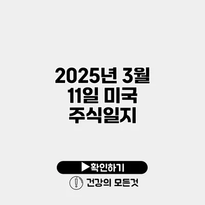 2025년 3월 11일 미국 주식일지
