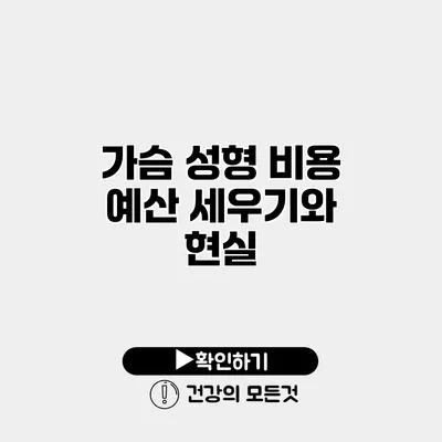 가슴 성형 비용 예산 세우기와 현실