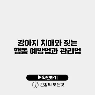 강아지 치매와 짖는 행동 예방법과 관리법