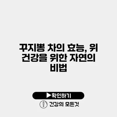 꾸지뽕 차의 효능, 위 건강을 위한 자연의 비법