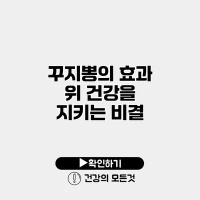 꾸지뽕의 효과 위 건강을 지키는 비결