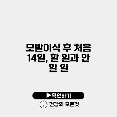 모발이식 후 처음 14일, 할 일과 안 할 일