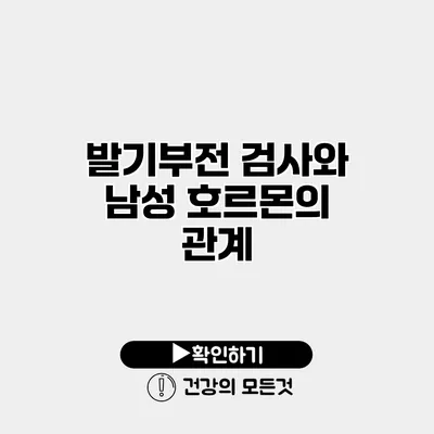 발기부전 검사와 남성 호르몬의 관계