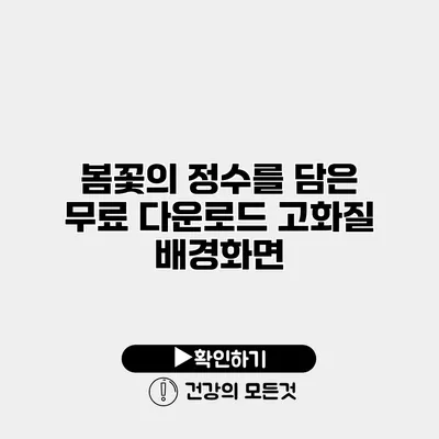 봄꽃의 정수를 담은 무료 다운로드 고화질 배경화면