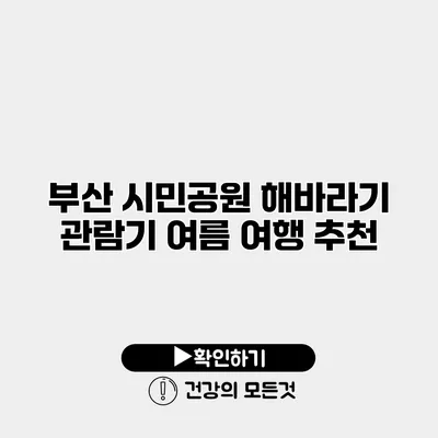 부산 시민공원 해바라기 관람기 여름 여행 추천