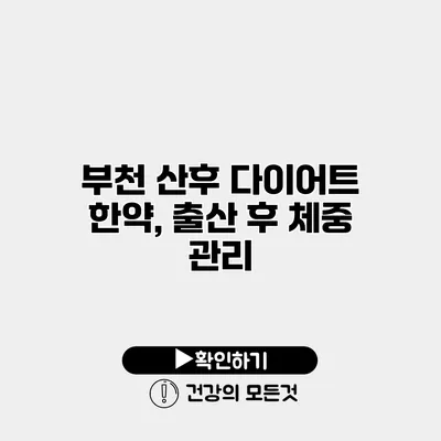 부천 산후 다이어트 한약, 출산 후 체중 관리