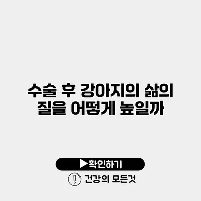 수술 후 강아지의 삶의 질을 어떻게 높일까?