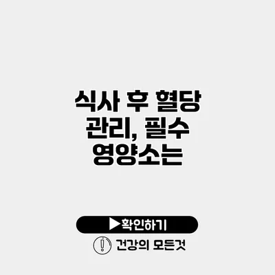 식사 후 혈당 관리, 필수 영양소는?