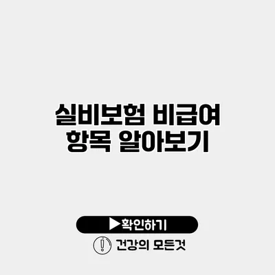 실비보험 비급여 항목 알아보기