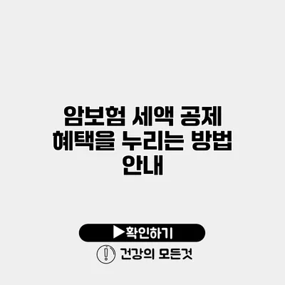 암보험 세액 공제 혜택을 누리는 방법 안내