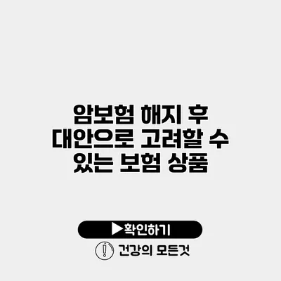 암보험 해지 후 대안으로 고려할 수 있는 보험 상품
