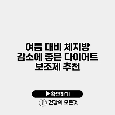 여름 대비 체지방 감소에 좋은 다이어트 보조제 추천