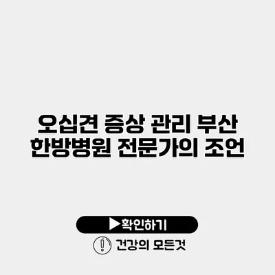 오십견 증상 관리 부산 한방병원 전문가의 조언