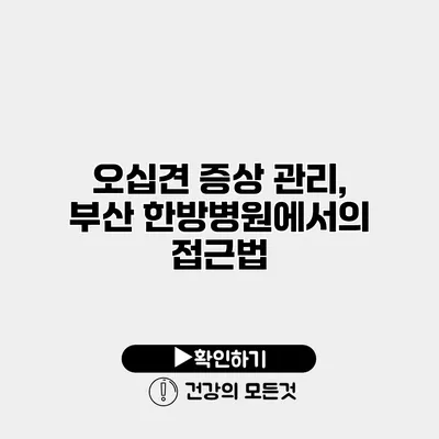 오십견 증상 관리, 부산 한방병원에서의 접근법