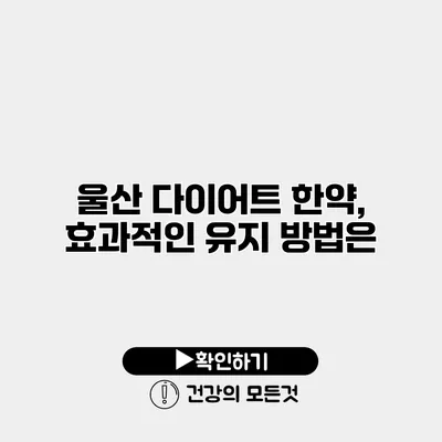 울산 다이어트 한약, 효과적인 유지 방법은?