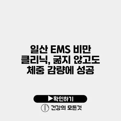 일산 EMS 비만 클리닉, 굶지 않고도 체중 감량에 성공