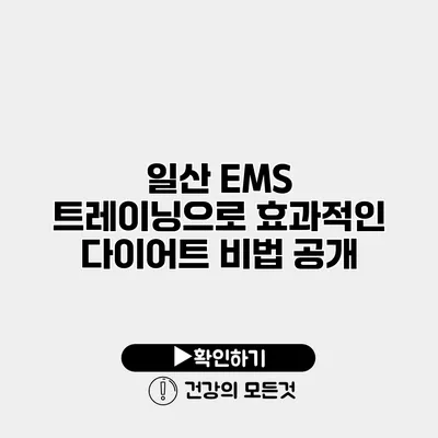 일산 EMS 트레이닝으로 효과적인 다이어트 비법 공개