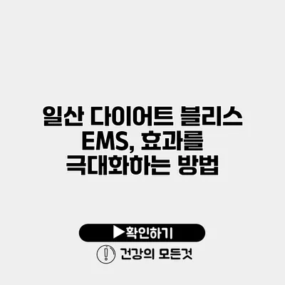 일산 다이어트 블리스 EMS, 효과를 극대화하는 방법