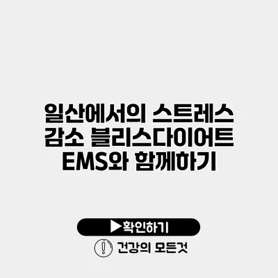 일산에서의 스트레스 감소 블리스다이어트 EMS와 함께하기