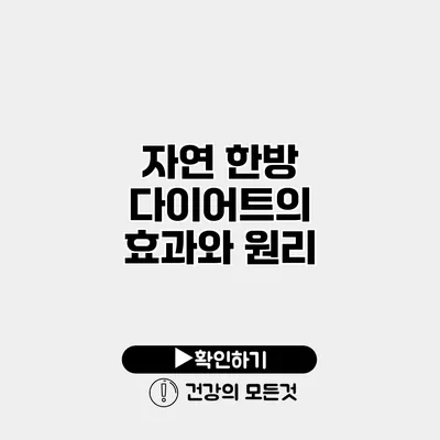 자연 한방 다이어트의 효과와 원리