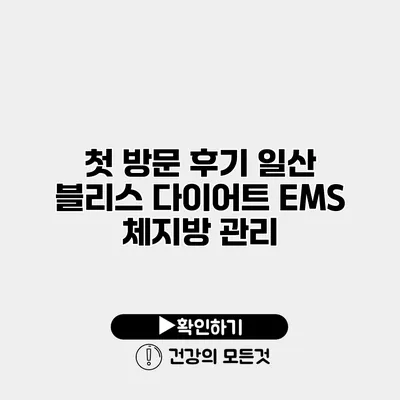 첫 방문 후기 일산 블리스 다이어트 EMS 체지방 관리