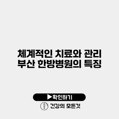 체계적인 치료와 관리 부산 한방병원의 특징