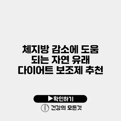 체지방 감소에 도움 되는 자연 유래 다이어트 보조제 추천