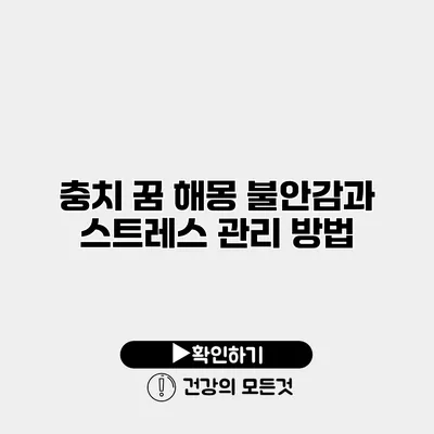 충치 꿈 해몽 불안감과 스트레스 관리 방법