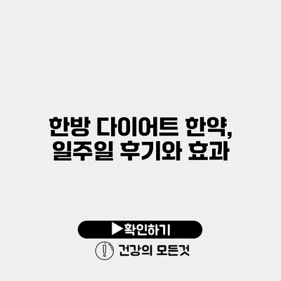 한방 다이어트 한약, 일주일 후기와 효과