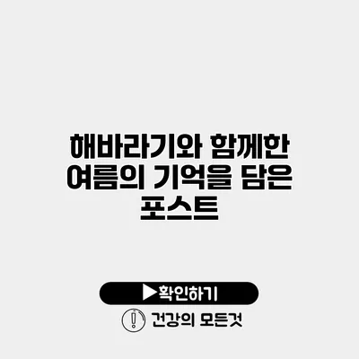 해바라기와 함께한 여름의 기억을 담은 포스트