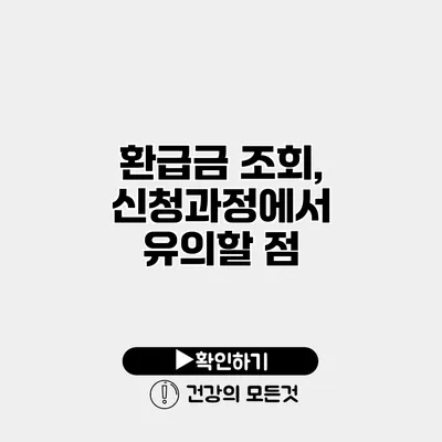 환급금 조회, 신청과정에서 유의할 점