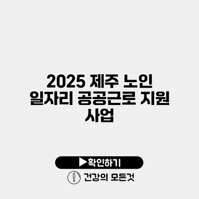2025 제주 노인 일자리 공공근로 지원 사업
