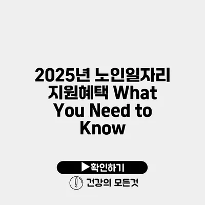 2025년 노인일자리 지원혜택 What You Need to Know