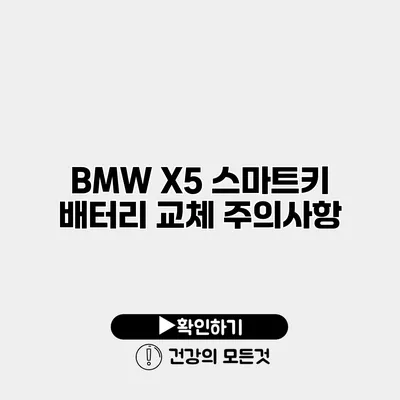 BMW X5 스마트키 배터리 교체 주의사항