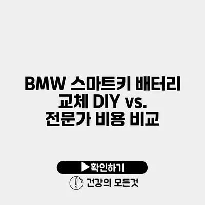 BMW 스마트키 배터리 교체 DIY vs. 전문가 비용 비교
