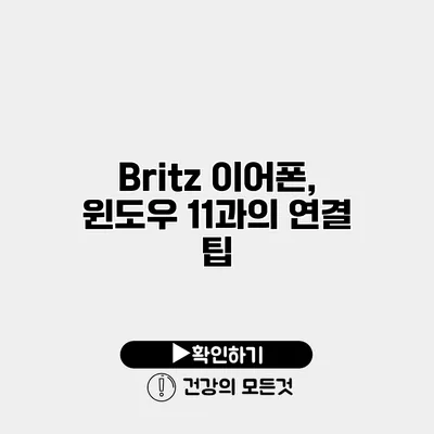 Britz 이어폰, 윈도우 11과의 연결 팁
