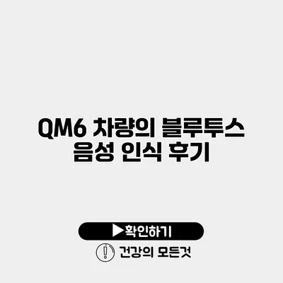 QM6 차량의 블루투스 음성 인식 후기