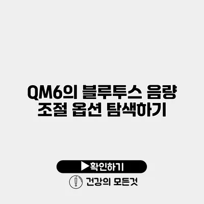 QM6의 블루투스 음량 조절 옵션 탐색하기