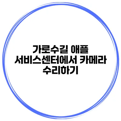 가로수길 애플 서비스센터에서 카메라 수리하기