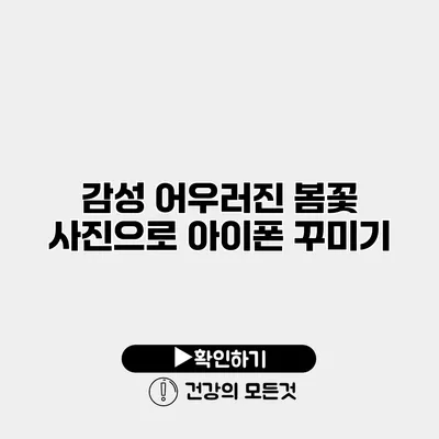 감성 어우러진 봄꽃 사진으로 아이폰 꾸미기