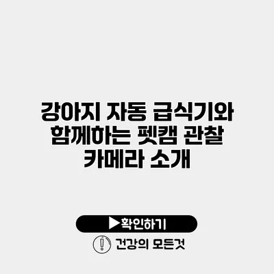 강아지 자동 급식기와 함께하는 펫캠 관찰 카메라 소개
