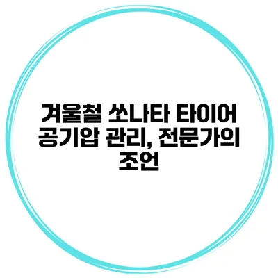 겨울철 쏘나타 타이어 공기압 관리, 전문가의 조언