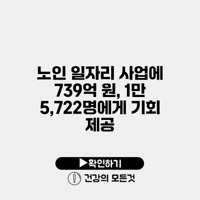 노인 일자리 사업에 739억 원, 1만 5,722명에게 기회 제공