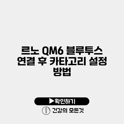 르노 QM6 블루투스 연결 후 카타고리 설정 방법