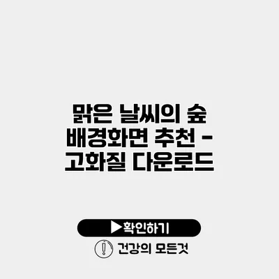 맑은 날씨의 숲 배경화면 추천 - 고화질 다운로드