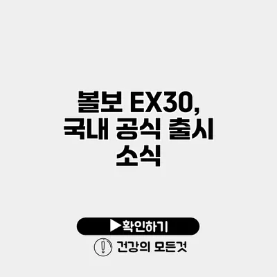 볼보 EX30, 국내 공식 출시 소식