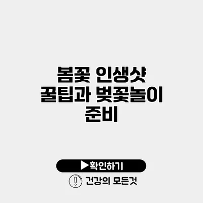 봄꽃 인생샷 꿀팁과 벚꽃놀이 준비