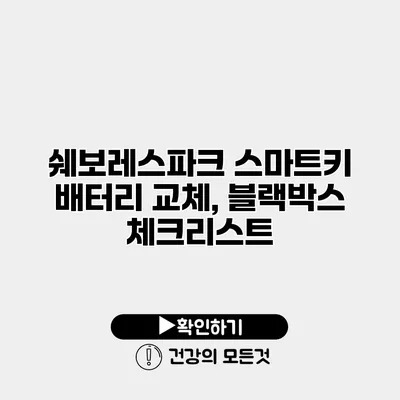 쉐보레스파크 스마트키 배터리 교체, 블랙박스 체크리스트