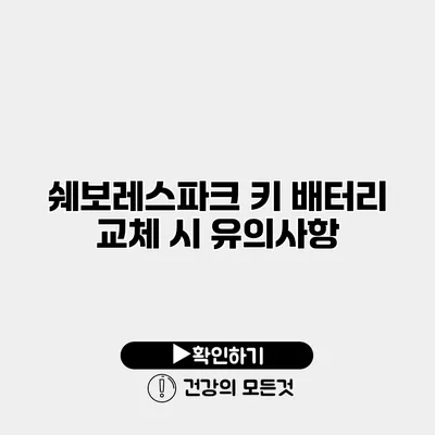 쉐보레스파크 키 배터리 교체 시 유의사항