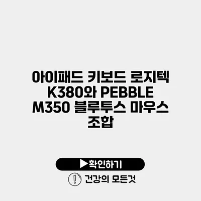 아이패드 키보드 로지텍 K380와 PEBBLE M350 블루투스 마우스 조합